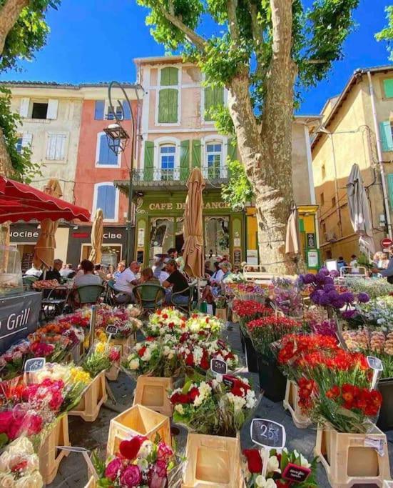 La Loge Familiale: 110M2, Place Rose Goudard, Ac リル・シュル・ラ・ソルギュ エクステリア 写真