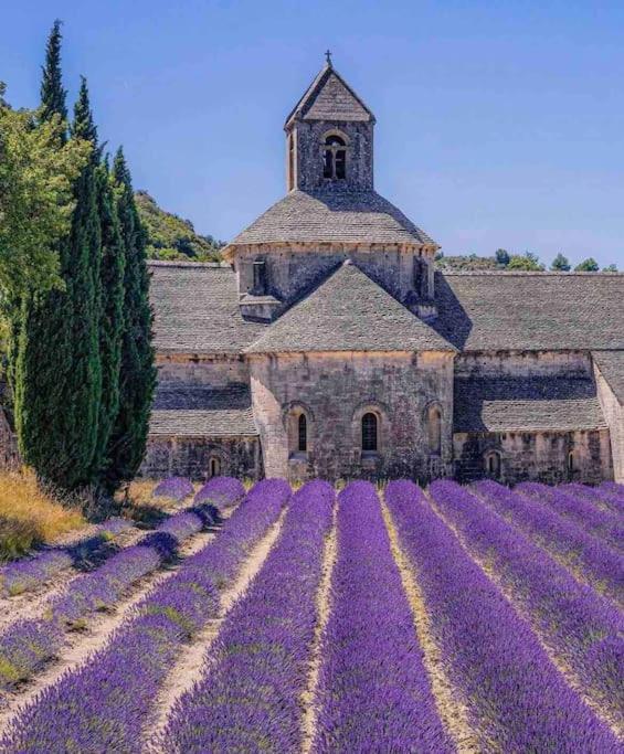 La Loge Familiale: 110M2, Place Rose Goudard, Ac リル・シュル・ラ・ソルギュ エクステリア 写真